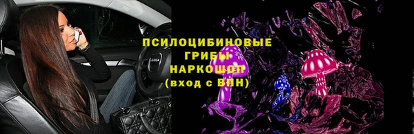 эйфоретик Заводоуковск