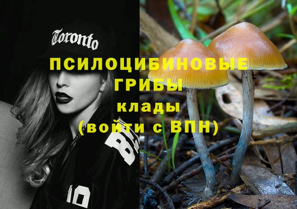 мет Ельня