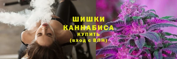 дурь Елабуга