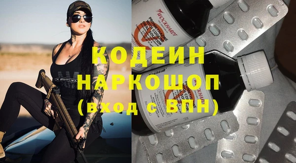 мет Ельня